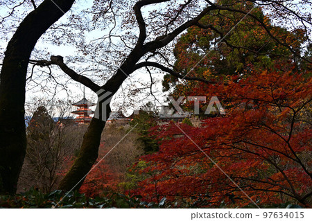 Kiyomizudera秋葉 97634015
