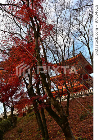 Kiyomizudera秋葉 Kiyomizudera秋葉 97634018