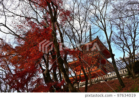 Kiyomizudera秋葉 Kiyomizudera秋葉 97634019