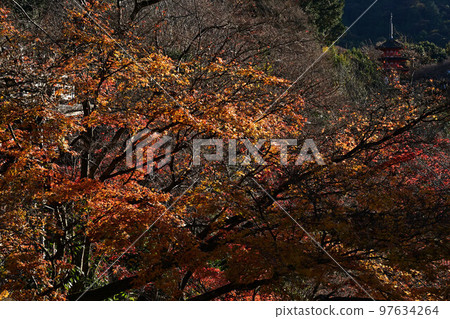 Kiyomizudera秋葉 97634264