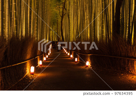 冬天的京都,嵐山花燈郎,竹林小徑 冬天的京都,嵐山花燈郎,竹林小徑 97634395