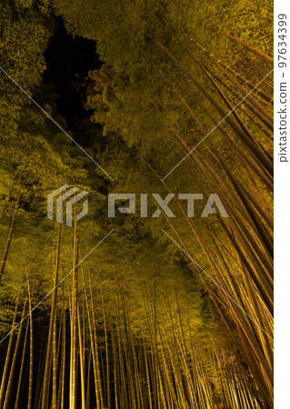 冬天的京都,嵐山花燈郎,竹林小徑 冬天的京都,嵐山花燈郎,竹林小徑 97634399