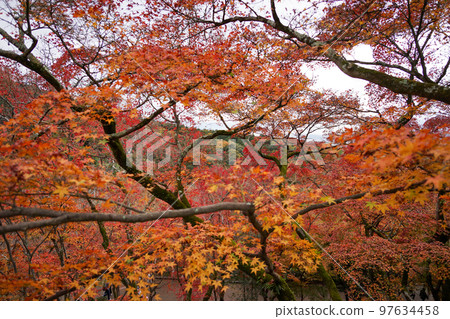 音和山清水寺 音和山清水寺 97634458