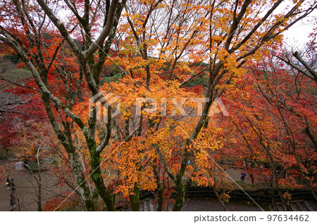 Otowasan Kiyomizu Temple Otowasan Kiyomizu Temple 97634462