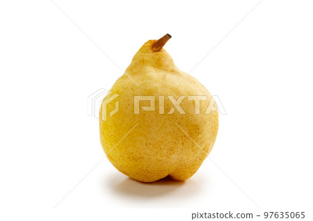 梨Lelectier 97635065