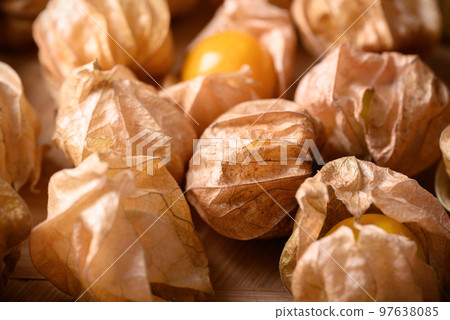 Cape gooseberry, golden berry or ground cherry (Physalis peruviana), Ripe orange fruit 97638085