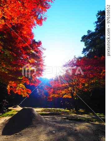 Autumn leaves and fine weather at Meigetsu-in Autumn leaves and fine weather at Meigetsu-in 97638652