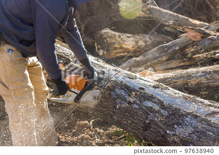 Services worker is using chainsaw to cut down trees, resulting in forest destruction and ecological disasters. Services worker is using chainsaw to cut down trees, resulting in forest destruction and ecological disasters. 97638940
