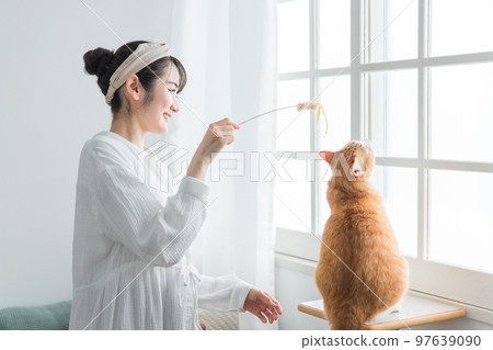 Asian female owner playing with her cat using cat teaser 97639090