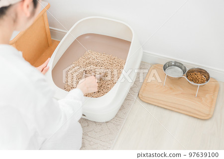 Asian woman cleaning cat litter in cat litter 97639100