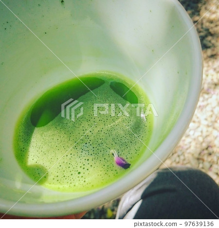 抹茶和紫藤花瓣 抹茶和紫藤花瓣 97639136