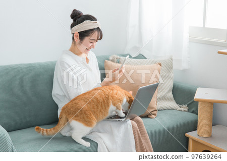 在家帶貓遠程工作/遠程工作的女性（電腦/智能手機） 97639264