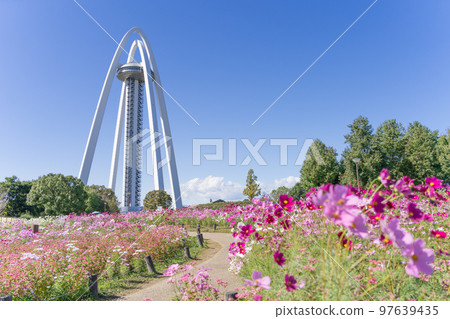 138 Tower Park和Cosmos Field 138 Tower Park和Cosmos Field 97639435