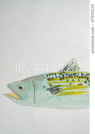 Large collection of Okinawan fish Large collection of Okinawan fish 97640224