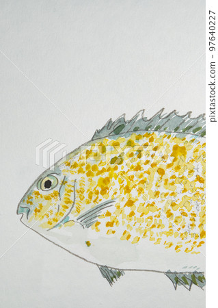 大量沖繩魚 大量沖繩魚 97640227