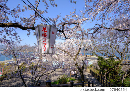 Sakura at Kanegasaki, Tsuruga City, Fukui Prefecture 97640264