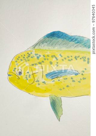大量沖繩魚 97640345