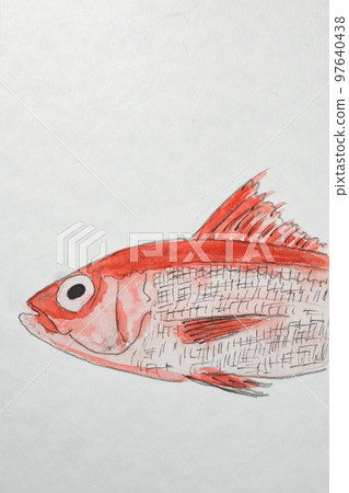 Large collection of Okinawan fish Large collection of Okinawan fish 97640438