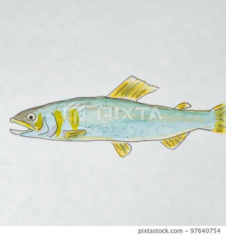 日本魚類世界的大量魚類（淡水魚） 97640754