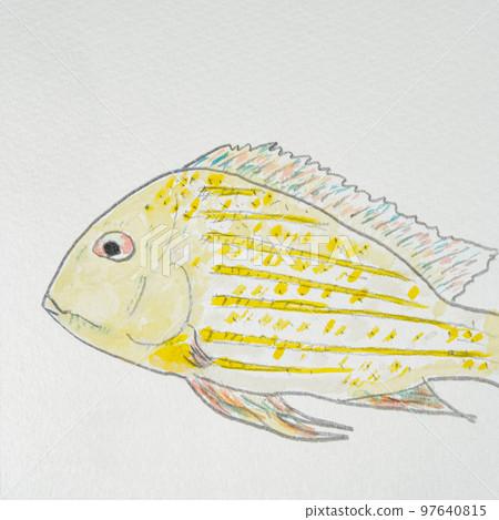 日本魚類世界的大量魚類（淡水魚） 97640815