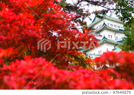 名古屋城堡在秋天 名古屋城堡在秋天 97640879