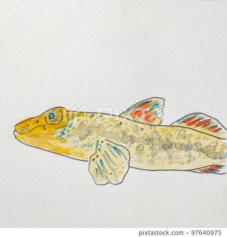 日本魚類世界的大量魚類(淡水魚) 日本魚類世界的大量魚類(淡水魚) 97640975