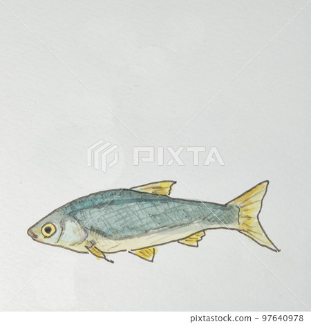 日本魚類世界的大量魚類(淡水魚) 日本魚類世界的大量魚類(淡水魚) 97640978