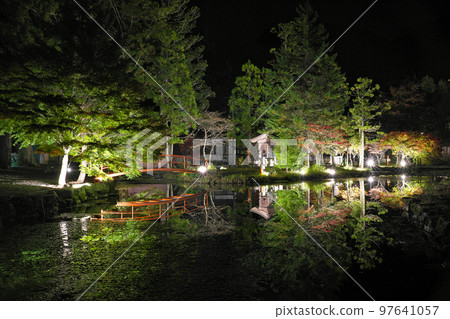 [Mt. Omine Ryusenji Temple (autumn leaves) (light up)] Dogawa, Tenkawa Village, Yoshino District, Nara Prefecture 97641057