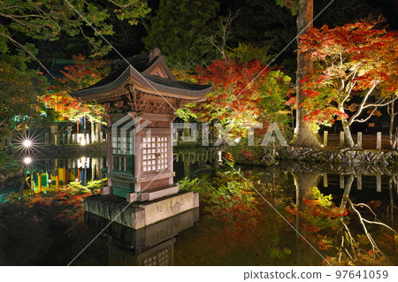 [Mt. Omine Ryusenji Temple (autumn leaves) (light up)] Dogawa, Tenkawa Village, Yoshino District, Nara Prefecture 97641059