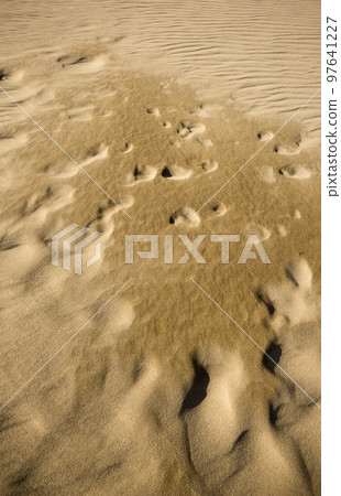 Tottori sand dunes and their patterns in spring Tottori prefecture Tottori sand dunes 97641227
