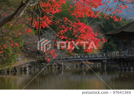 秋葉和浮世堂 97641369