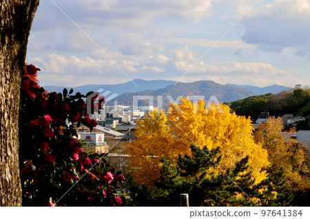 從和歌山城眺望(和歌山縣和歌山市) 從和歌山城眺望(和歌山縣和歌山市) 97641384