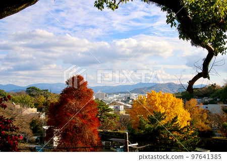 從和歌山城眺望（和歌山縣和歌山市） 97641385