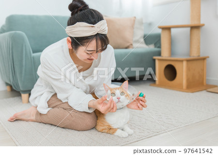 Owner's woman trying to put eye drops on a cat (medication / illness) Owner's woman trying to put eye drops on a cat (medication / illness) 97641542