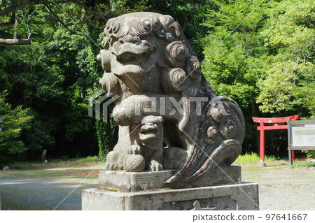 玉敷神社的狛犬【埼玉縣加須市】 玉敷神社的狛犬【埼玉縣加須市】 97641667