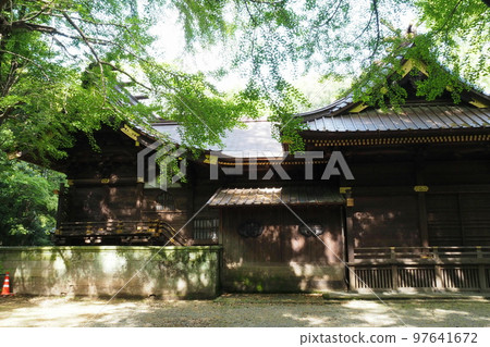 Worship hall (right) and main hall (left) of Tamashiki Shrine [Kazo City, Saitama Prefecture] 97641672