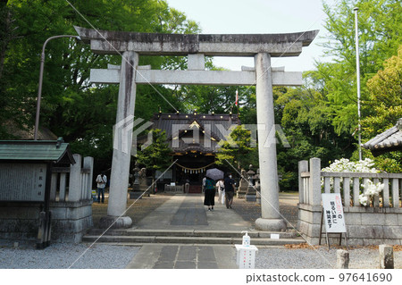 玉敷神社入口處的鳥居【埼玉縣加須市】 97641690