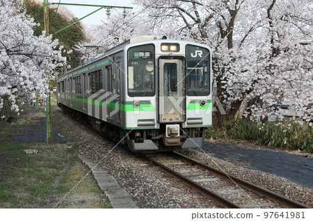 新潟縣,彌彥站,盛開的櫻花和火車 新潟縣,彌彥站,盛開的櫻花和火車 97641981