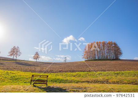 [北海道美瑛町]藍天紅葉的溫和七丘 97642531