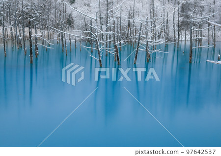 【北海道美瑛町】白雪皚皚的青池 【北海道美瑛町】白雪皚皚的青池 97642537