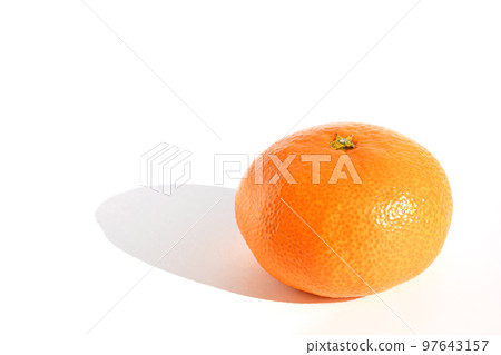 Mikan (Nankan No. 20) 97643157