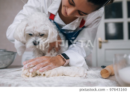 Woman in the kitchen kneads the dough with her dog 97643160