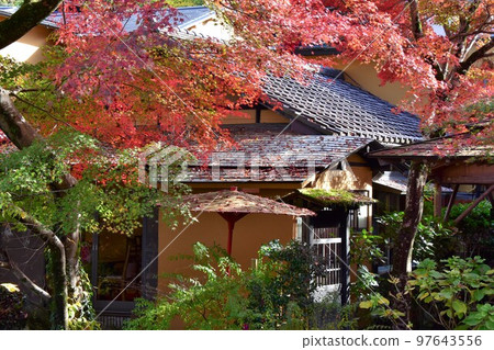 Izu Shuzenji Onsen, Katsura River with colored leaves 97643556