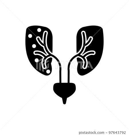 Infection on Human Kidney Disease Icon 97643792