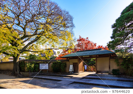 箱崎神社花園的秋葉 97644620