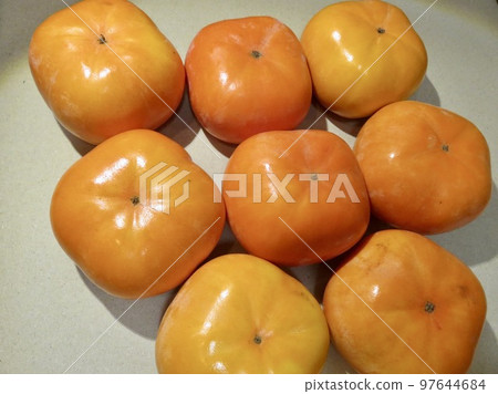 persimmon persimmon 97644684