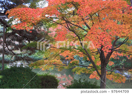 Japanese garden in Kyoto in autumn Japanese garden in Kyoto in autumn 97644709
