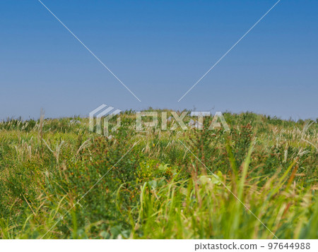 Scenery of Akiyoshidai 97644988