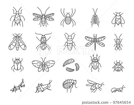 Line insects. Bug icons. Beetle and caterpillar. Outline pest symbols. Cricket and mosquito. Little animal. Crawling ant. Winged butterfly and dragonfly. Plant bee. Vector stroke garish pictograms set Line insects. Bug icons. Beetle and caterpillar. Outline pest symbols. Cricket and mosquito. Little animal. Crawling ant. Winged butterfly and dragonfly. Plant bee. Vector stroke garish pictograms set 97645654