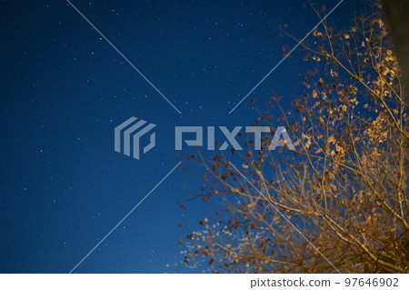 Starry sky Starry sky 97646902